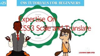 Learn CSS3 transform properties Scale and translate 2D animation: part II