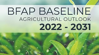 BFAP Baseline Agricultural Outlook 2022 - 2031