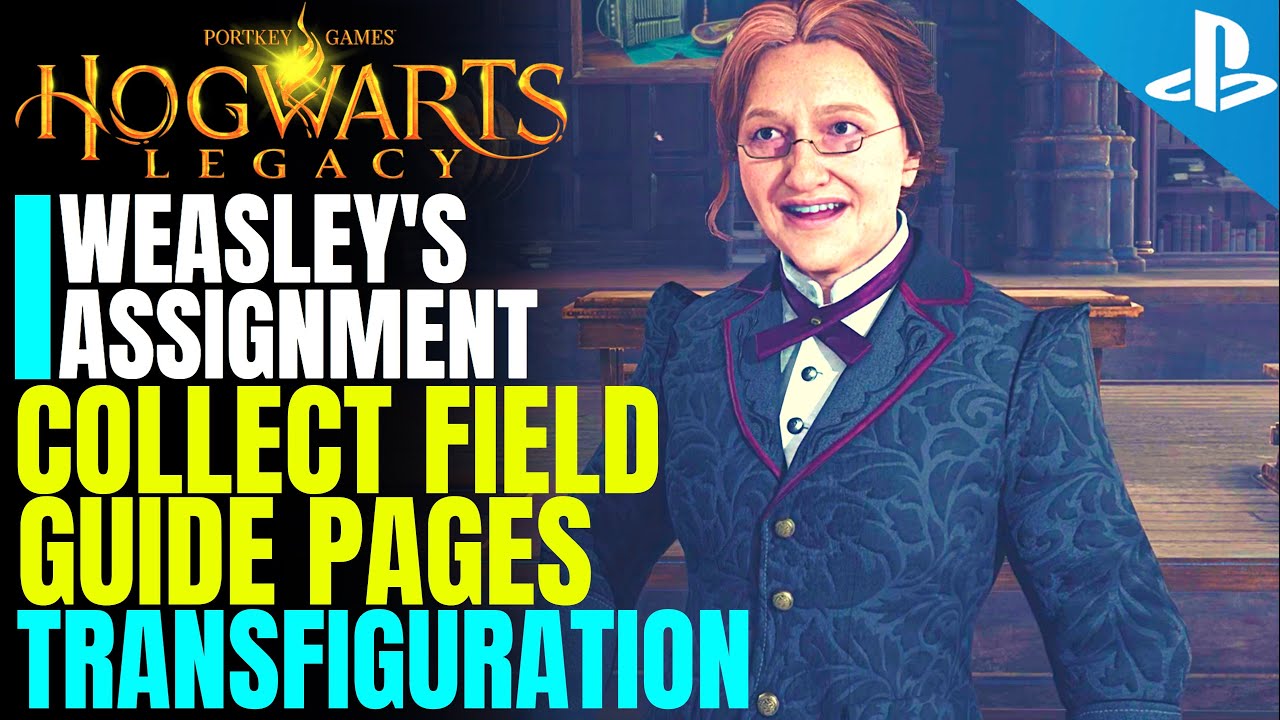 professor weasley assignment yes or no