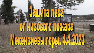 Минерализованные полосы в лесу 4.4.2023