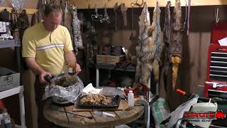 Making Beaver Tail Oil - Almost Done