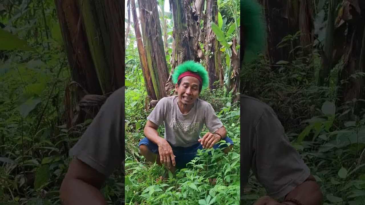 Ultimate Bird master Compilation! (Best Viral Videos) funny videos #funny #trending #viralvideo