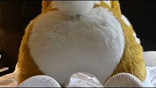 Furry let's it rip 💨