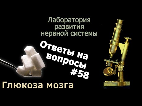 Бейне: Неліктен глюкоза плазмидті ДНҚ изоляциясында қолданылады?