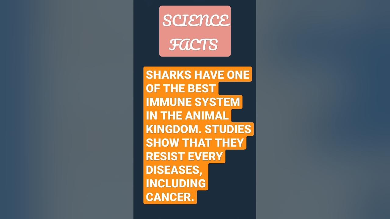 scientific-facts-youtube