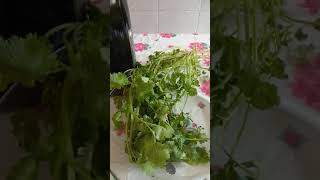 Banho Forte De Atração Para Garotas De Programa Atrair Clientes