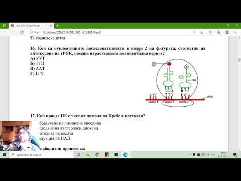 Решавана на Матурата по Биология и Здравно Образование от Май 2019