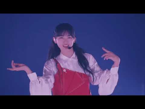 櫻坂46　「条件反射で泣けてくる」