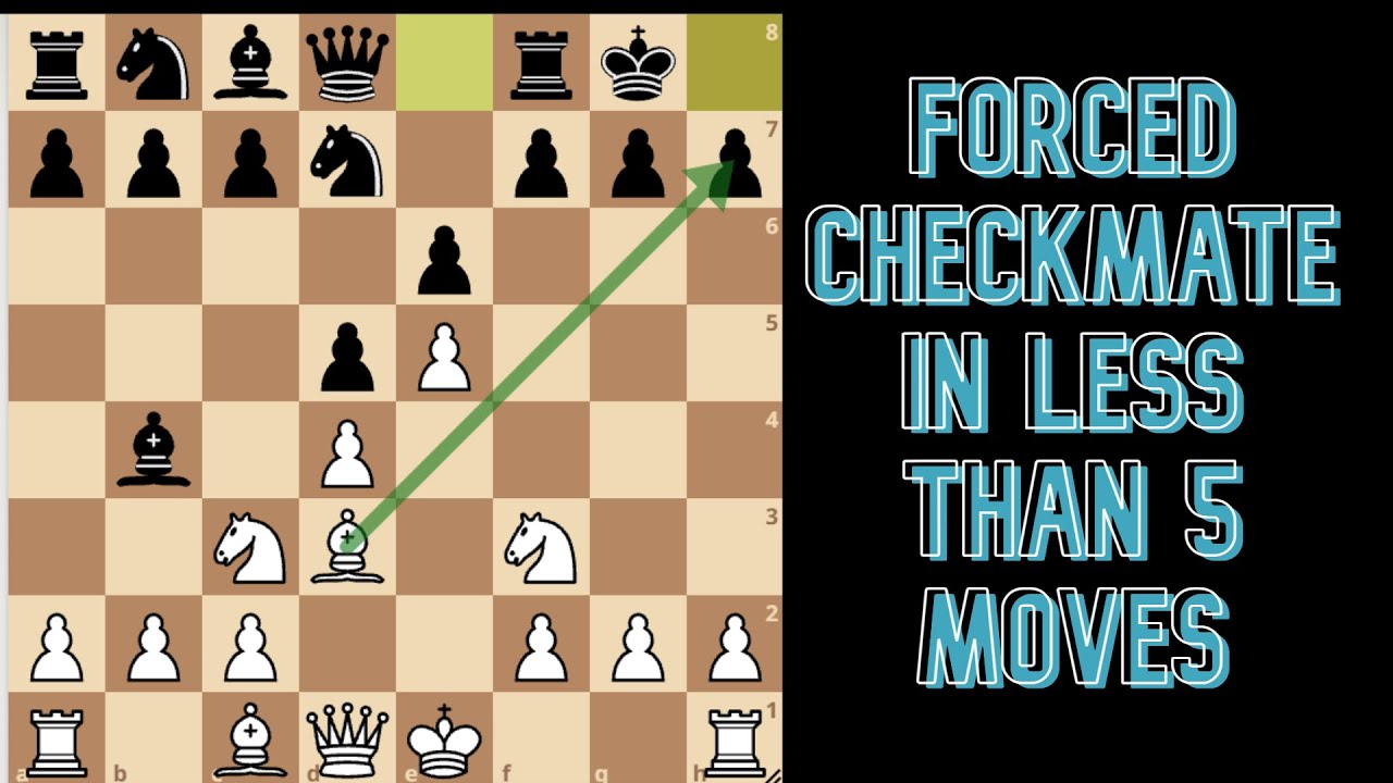 The most powerful weapon in chess is to have the next move.” – My turn  #gameoflife #checkmate