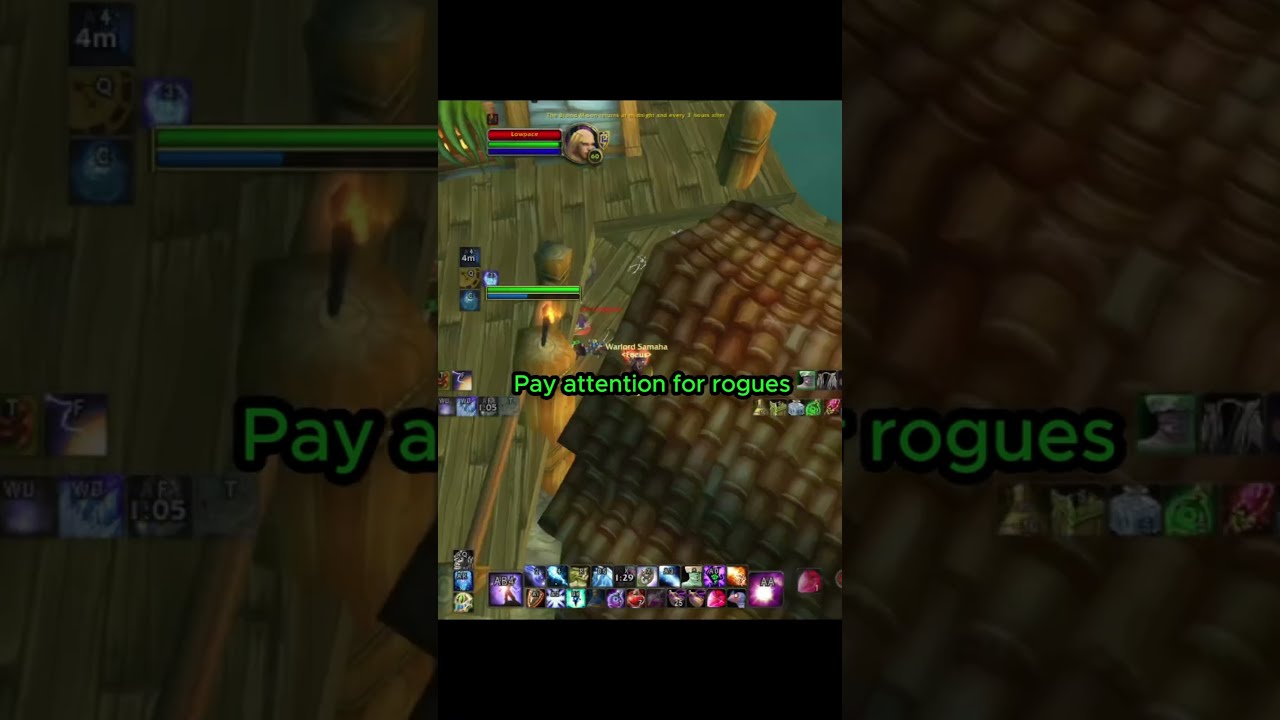 PvP Heal Frost Mage SoD Rank 14 WoW Classic 