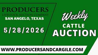 5/28/2026 - Cattle Auction - Producers Livestock Auction Company