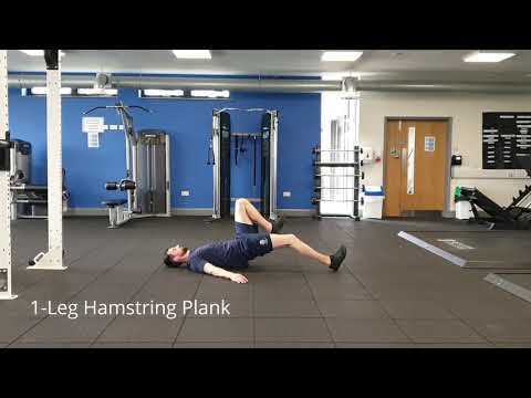 1 Leg Hamstring Plank