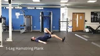 1 Leg Hamstring Plank