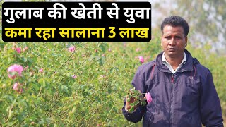 दस गलब क खत स सलन 3 लख क कमई Gulab Ki Kheti Kaise Kare Desi Rose Farming