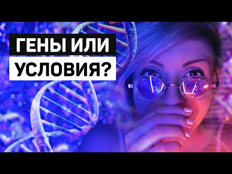 Что больше влияет на личность: гены или воспитание?
