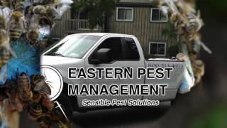 Pest control Wappingers Falls NY Eastern Pest Management pest control (800) 213-4973