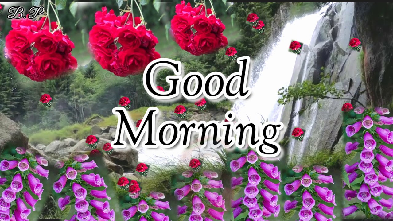 Good Morning Nagpuri Video Song //Good Morning WhatsApp Status Short Video 2020 //Good Morning //