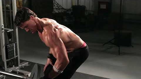 One Arm Long Bar Row  Exercise Videos & Guides  Bodybuilding com