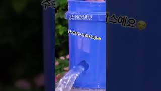 기.승.전.이유구강