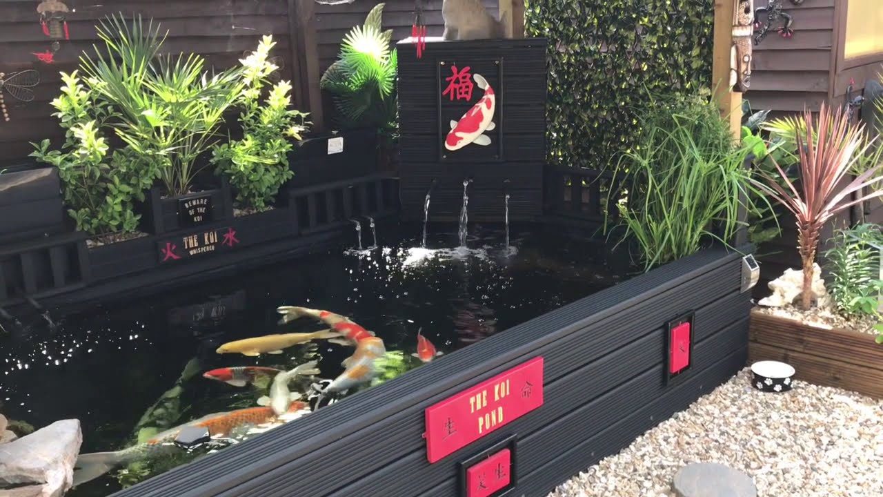 DIY koi pond roof shade sunlight air pump and pigeons chat 