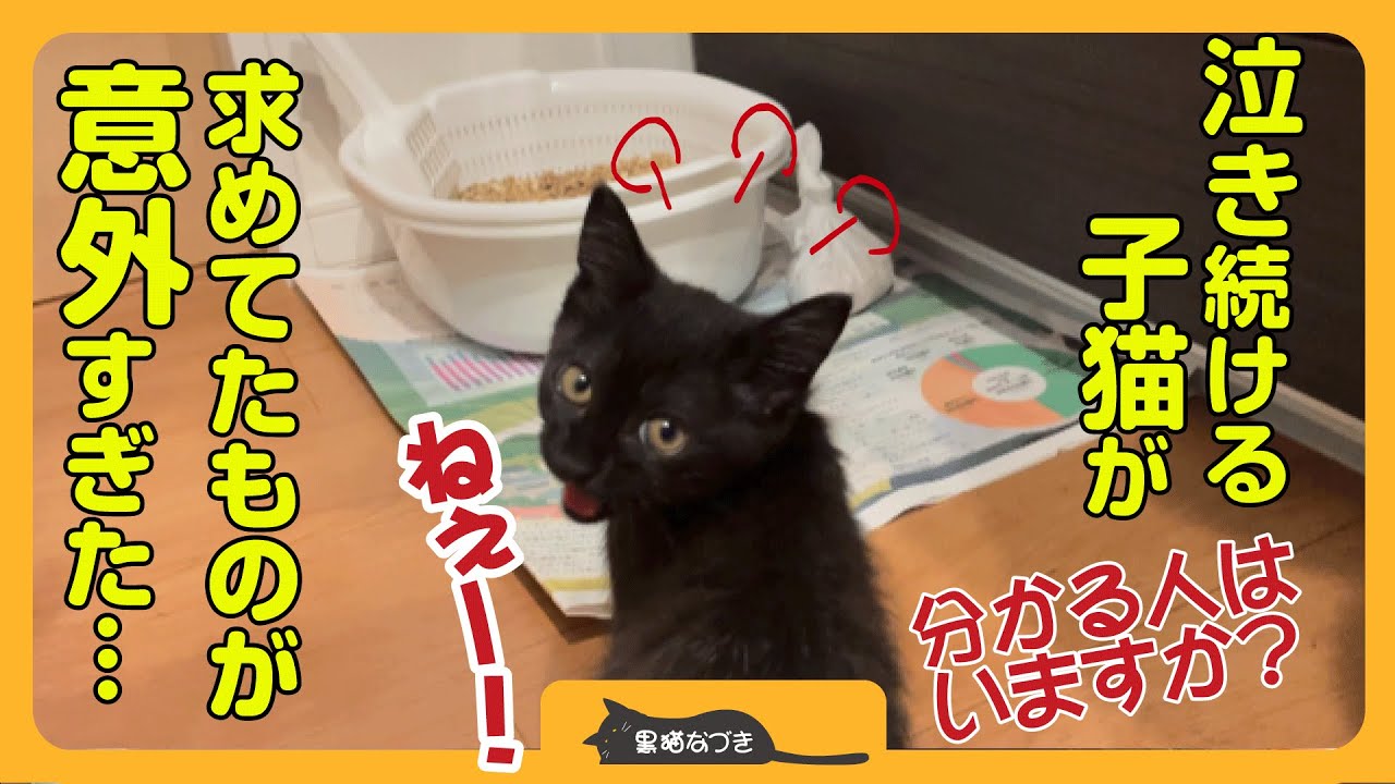 ❸ぼらネイビ/黒/ヒッコリ給食セッ3×2 2025.3.16 hq720.jpg?sqp=-