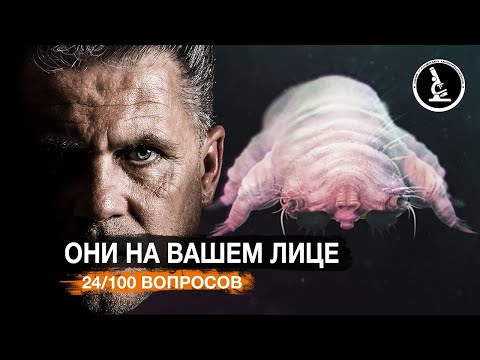 ЭТОТ ЛИЦЕВОЙ КЛЕЩ РЕАЛЬНО ЖИВЕТ НА ВАШЕМ ЛИЦЕ? (DEMODEX / КЛЕЩ ЖЕЛЕЗНИЦА)