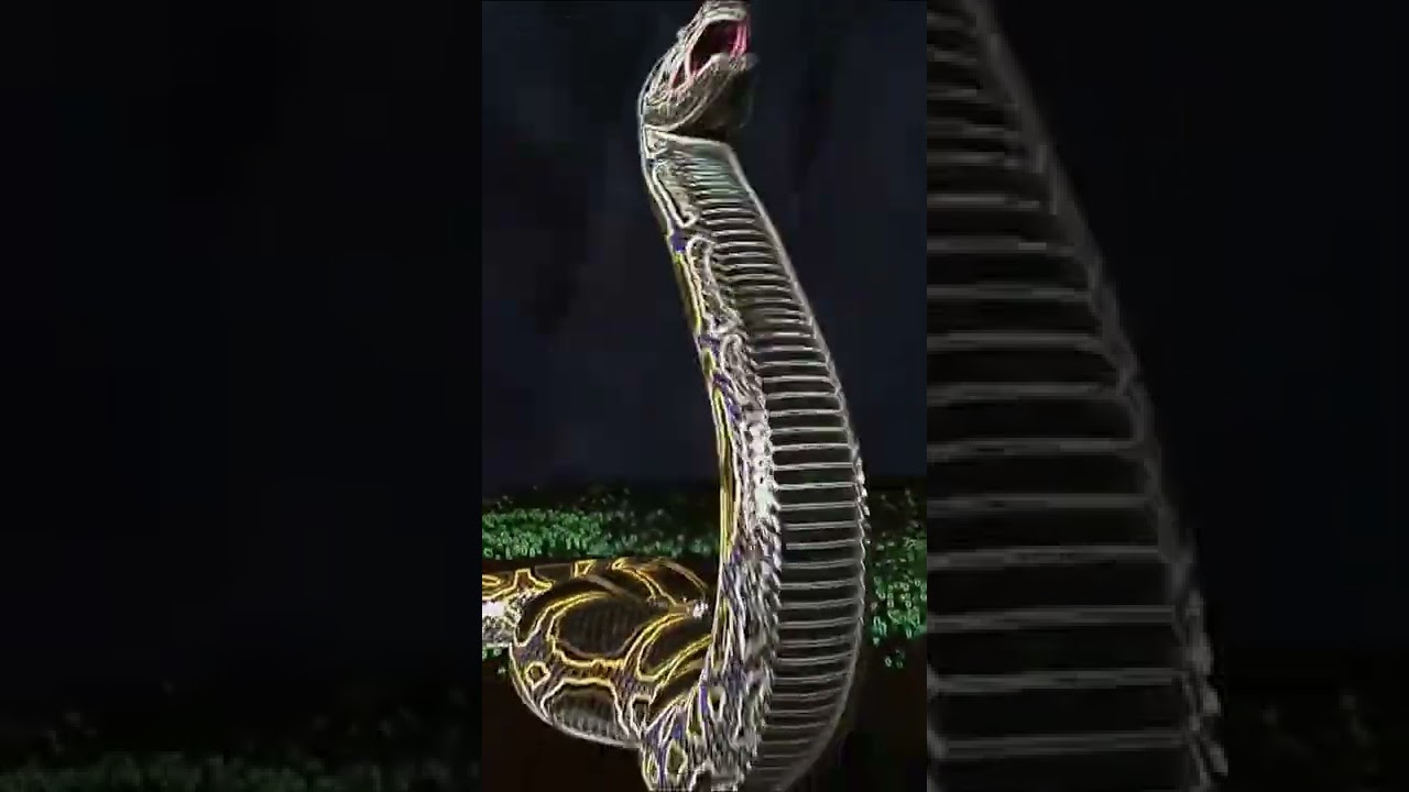 ¿Qué hace que una pitón birmana sea tan letal? 🐍 