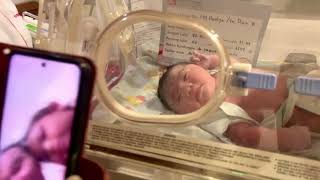 Alhamdulillah telah lahir cucu kami Dzaviya Qalisya Adiniya pd hari Sabtu tgl 7 Februari 2026