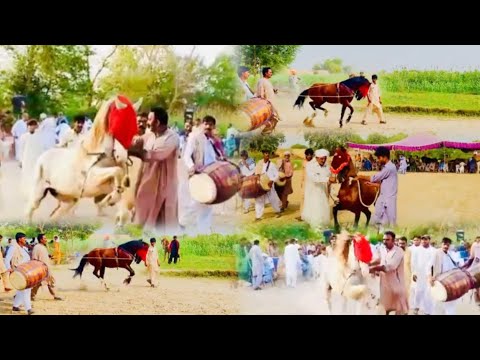 Sawar ustad maqbool sarwana 💢gohda badal mailon ka winer🐎🥰2026 @azeemmalik4210 
