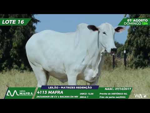 LOTE 16 MFRA 4113