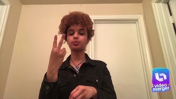 Expressive Video Assignment #3