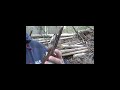 Käfer als Kompass?! 99 % glauben DAS nicht! 🧭🐞 Was hältst Du von diesem Hack? #bushcraft #nature