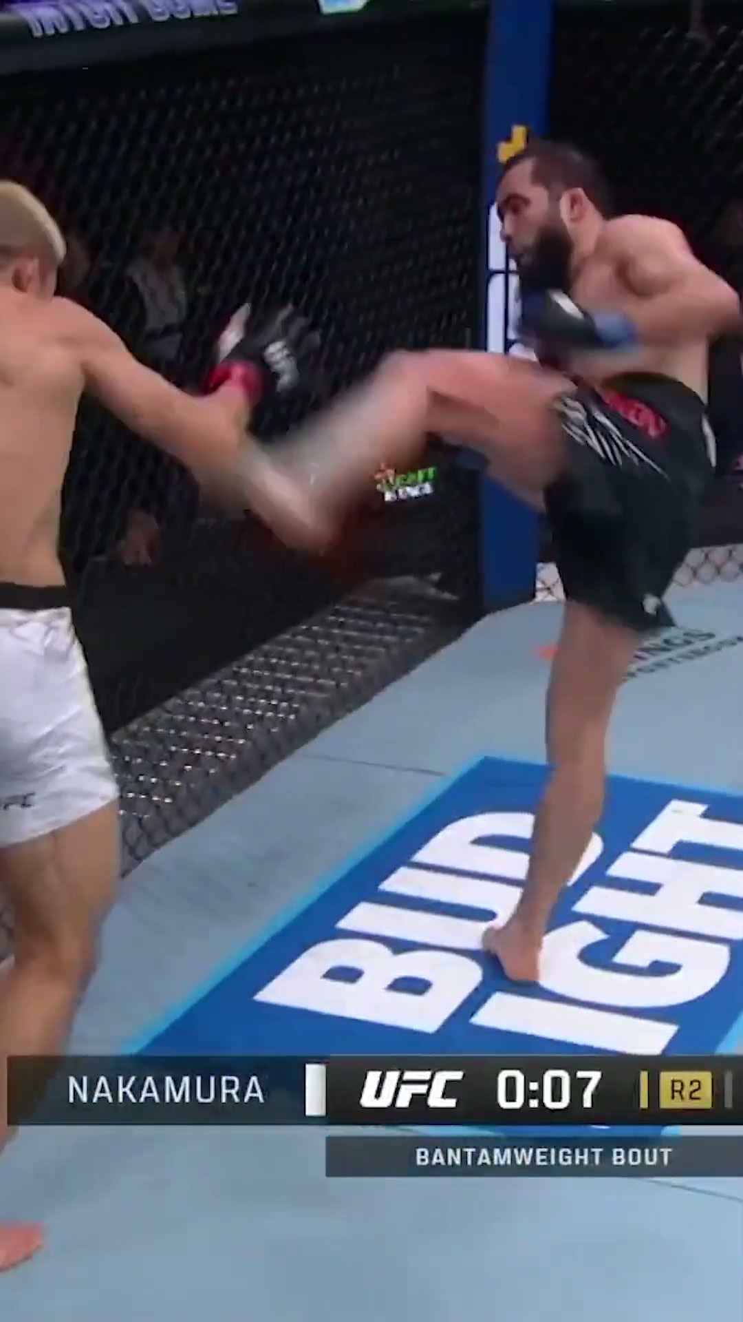 Muin Gafurov puts on a master class ?