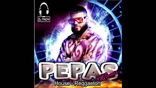 PEPA Y AGUA PA LA SECA - HOUSE - REGGAETON MIX 2021 - DJ PACHI