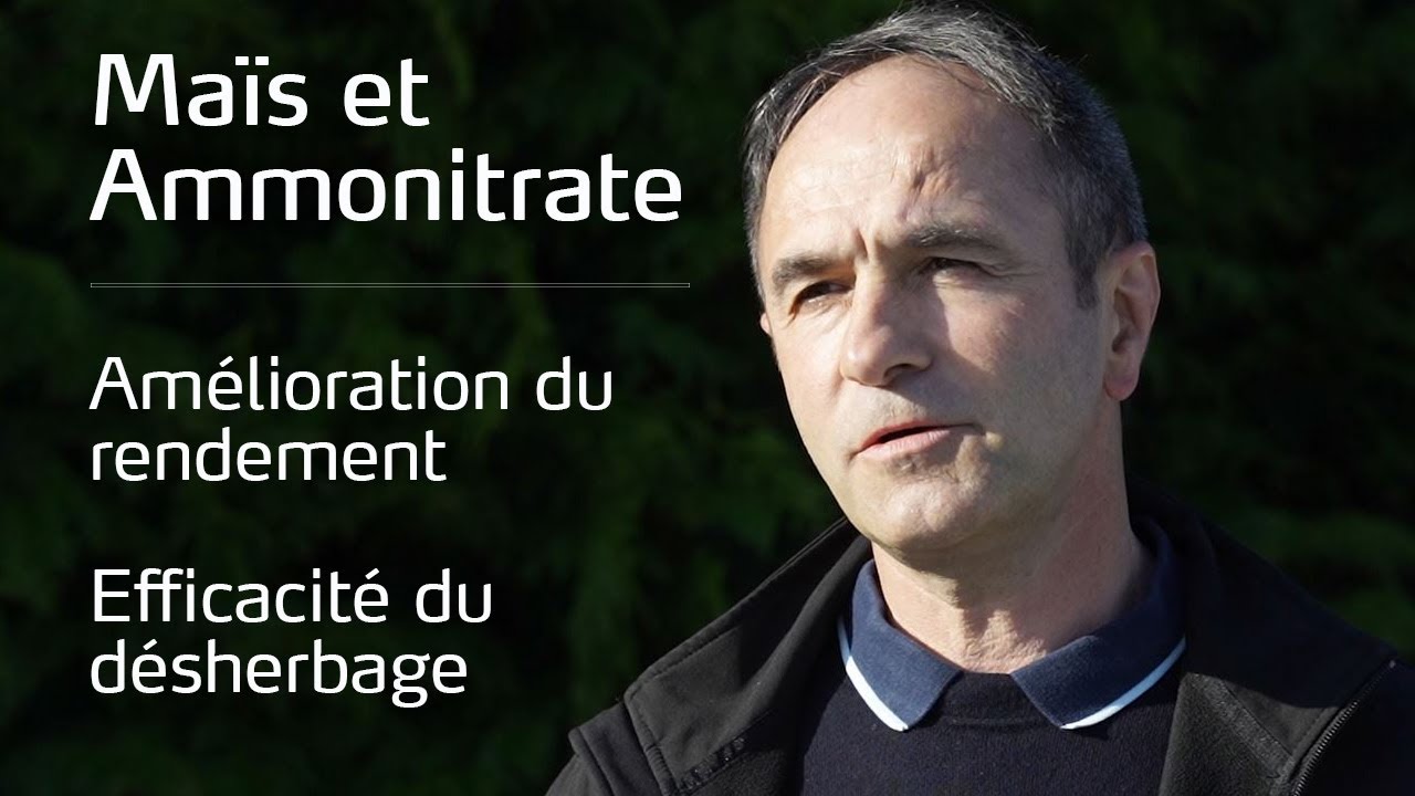Comment améliorer le rendement et l’efficacité du désherbage du maïs ?