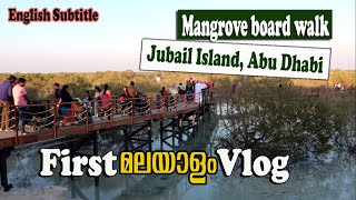 Mangrove boardwalk | Jubail Island |Abu Dhabi |English Subtitle | SR Vlogs by Subair