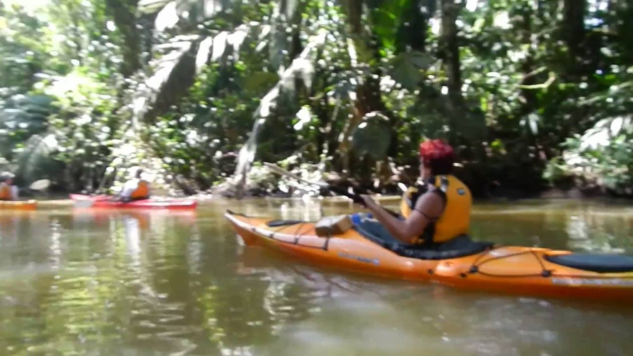 Sea Kayak Costa Rica Tortuguero Canals YouTube