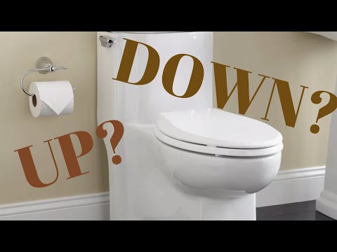 why-toilet-seats-should-be-left-down-after-use