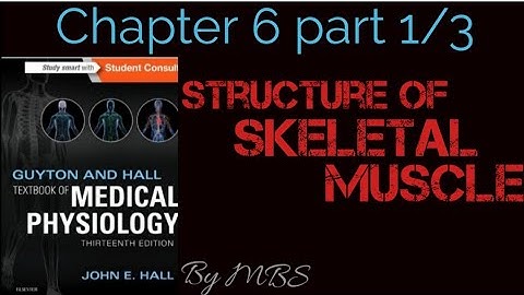 Guyton chapter 6 part 1 of 3