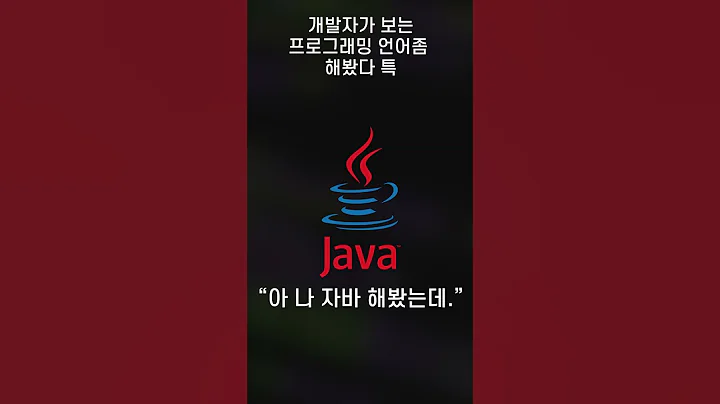 개발자가 보는 프로그래밍 언어좀 해봤다 하는 일반인