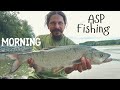 Sometimes what starts hard, ends well ... fishing AGGRESSIVE ASP ...