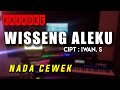 WISSENG ALEKU  | Cipt Iwan.s | lagu bugis karaoke |89 karaoke