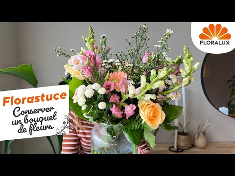 Vidéo: Do It Yourself Rose Bouquet : comment couper et disposer des roses dans un vase