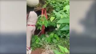 Download Lagu Russische vrouw en dochters gered na zeven jaar in bosgrot in India MP3