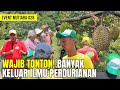 Inspirasi agrowisata durian anugraha vana bersama bapak catur dian mirzada  eventmutiara 28