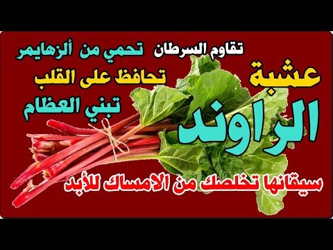 فيديو: ما هو الراوند الصيني - تعرف على زراعة راوند الزينة