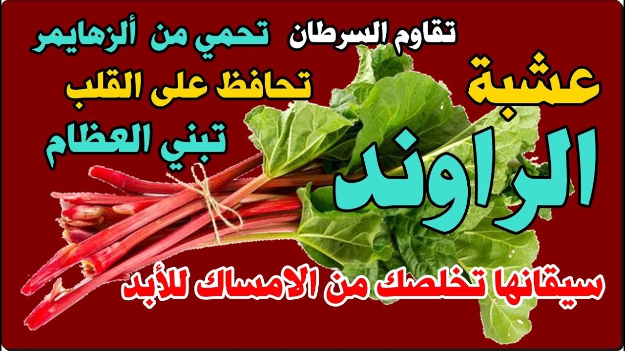 أذهلت عشبة الراوند الجميع بسيقانها الحمراء.  يعالج الإمساك بدون عودة ويقضي على مشاكل القولون.  موقع YouTube