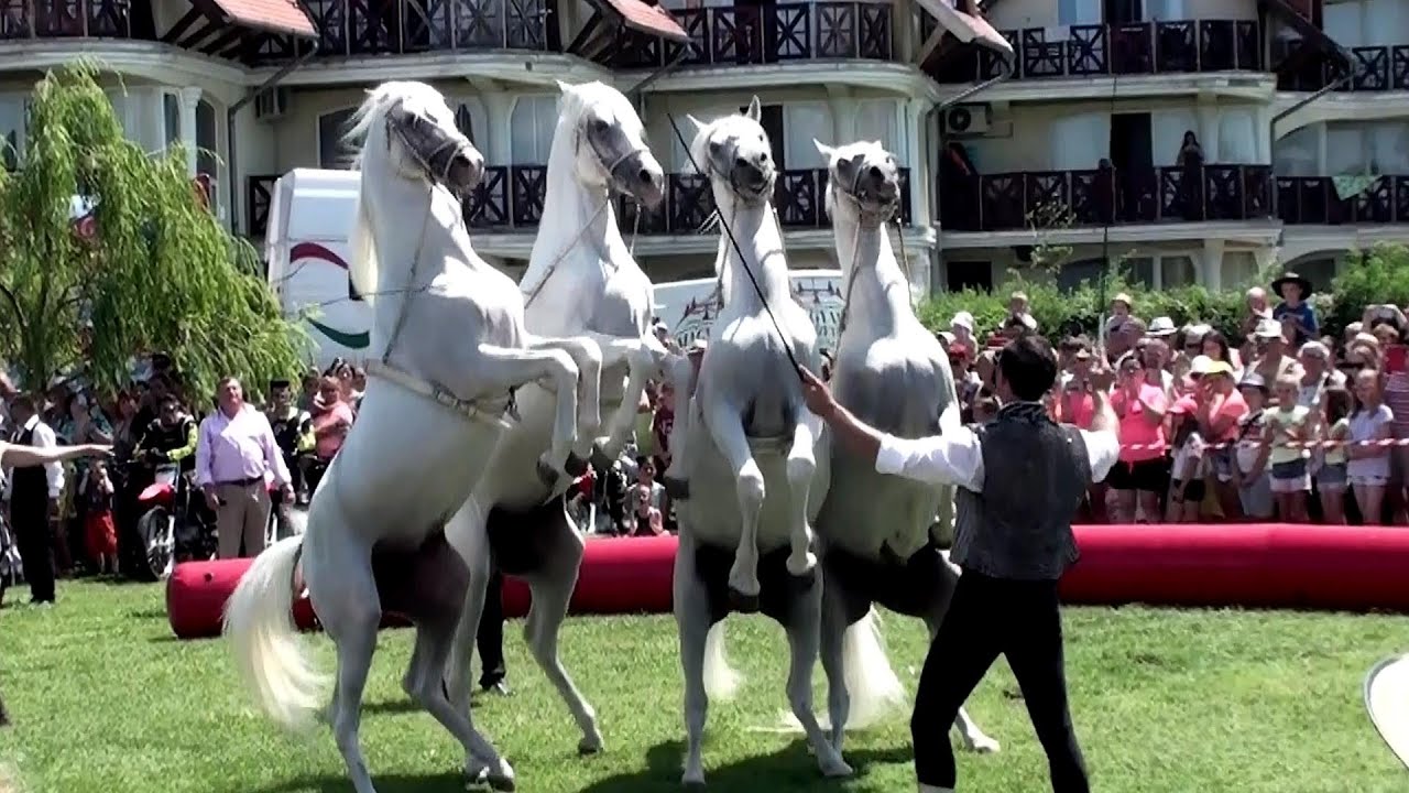 A Magyar Nemzeti Cirkusz bemutatója a Balaton partján