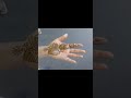 Arabic Mehndi design #shorts#shortsfeed#shotsvideo2026#ytshortsviral