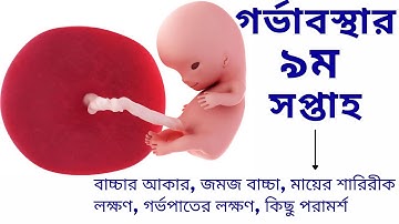 গর্ভাবস্থার নবম সপ্তাহ।9 weeks of pregnancy